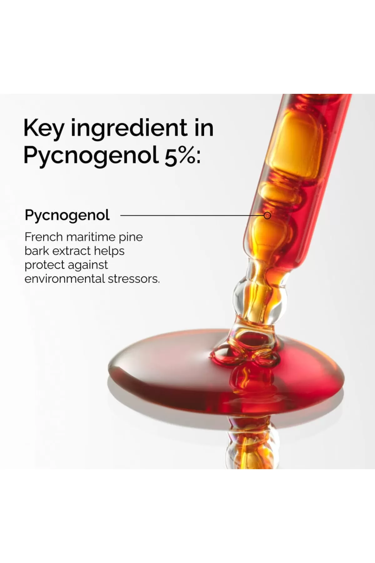 The-Ordinary-اوردینری-Pycnogenol-5-سرم-پیکنوژنول-روشن-کننده-+-آنتی-اکسیدان-